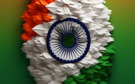 India Awareness